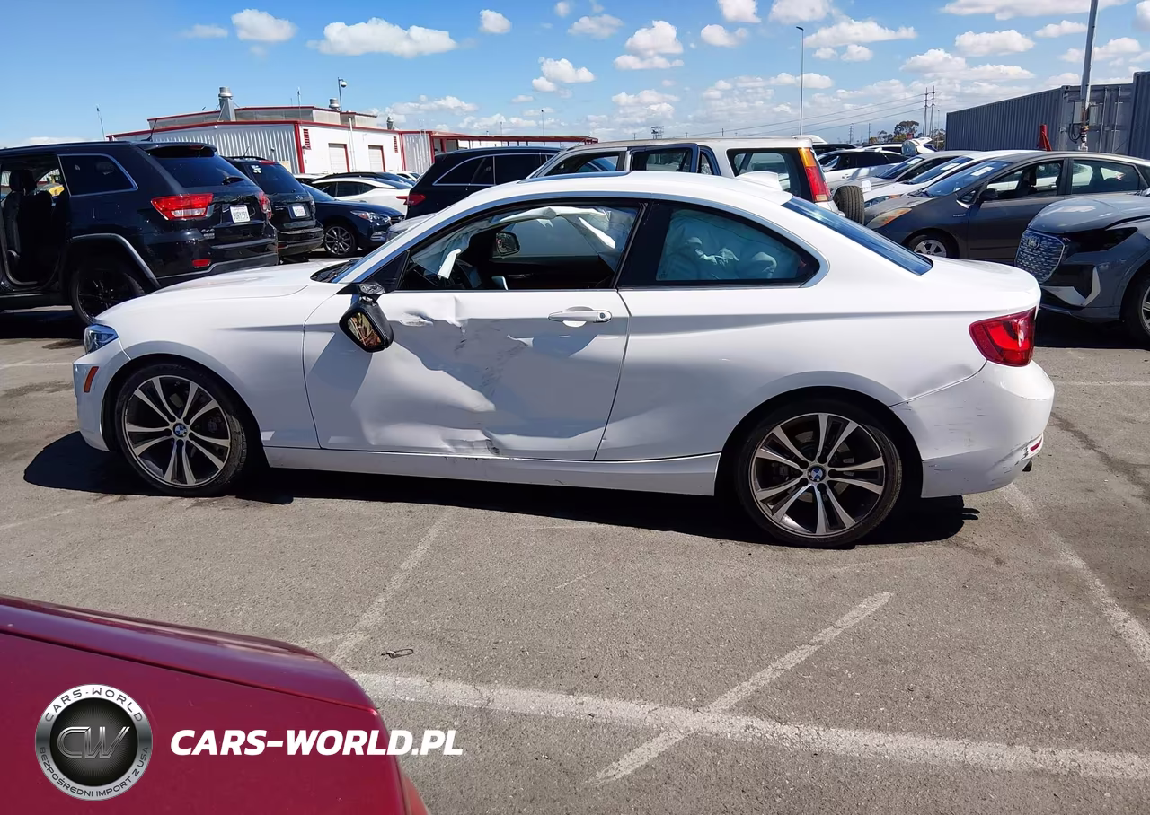2014 BMW 228I VIN:WBA1F5C55EV255340 - 14