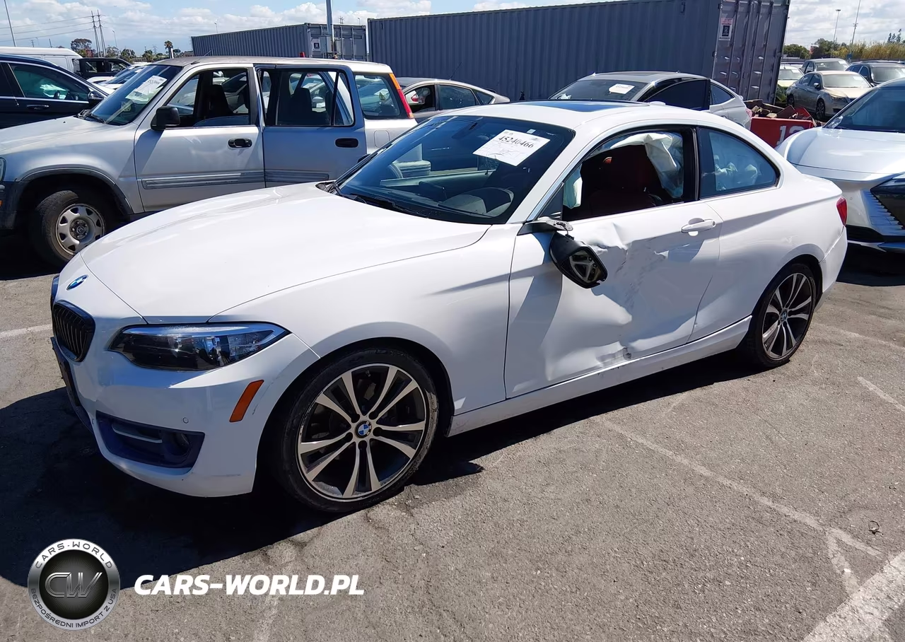 2014 BMW 228I VIN:WBA1F5C55EV255340 - 2