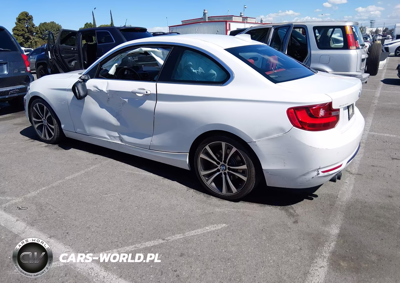 2014 BMW 228I VIN:WBA1F5C55EV255340 - 3