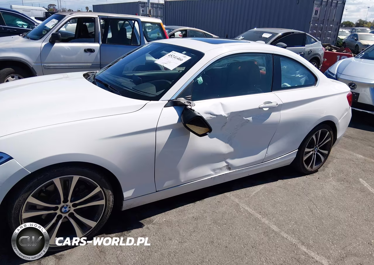 2014 BMW 228I VIN:WBA1F5C55EV255340 - 6