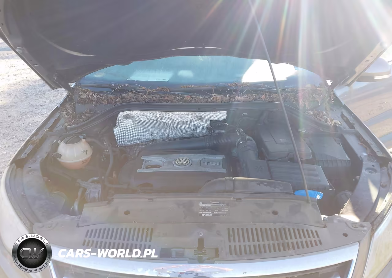 2011 Volkswagen Tiguan Se VIN:WVGBV7AX9BW517145 - 10