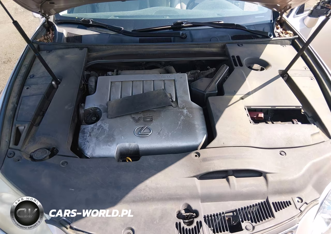 2009 Lexus Es 350 VIN:JTHBJ46G192324706 - 10