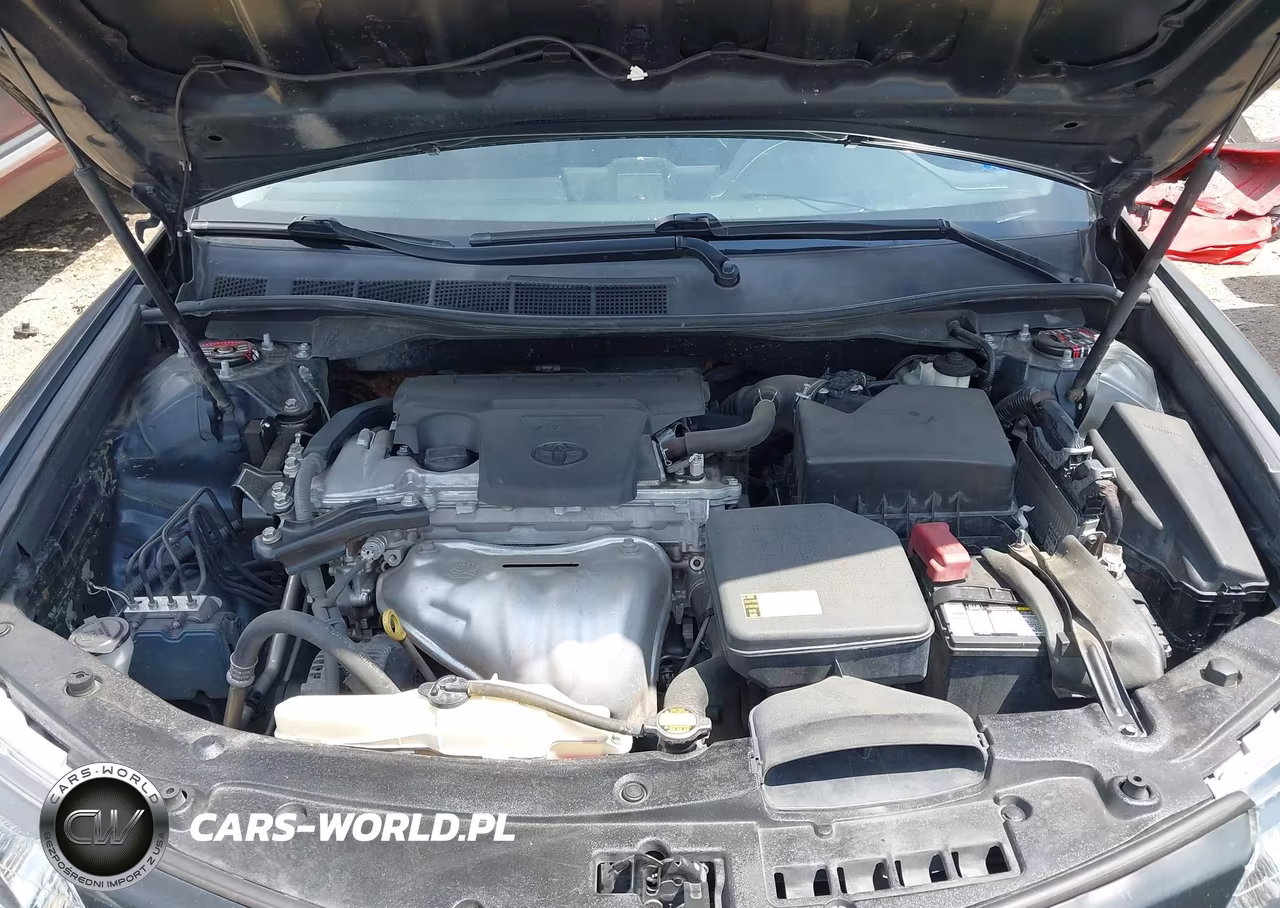 2014 Toyota Camry Se VIN:4T1BF1FK6EU347317 - 10