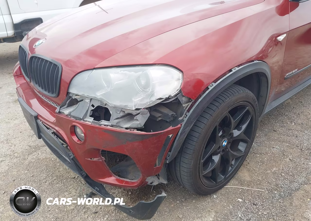 2013 BMW X5 xDrive35I-xDrive35I Premium-xDrive35I Sport Activity VIN:5UXZV4C53D0G54442 - 17
