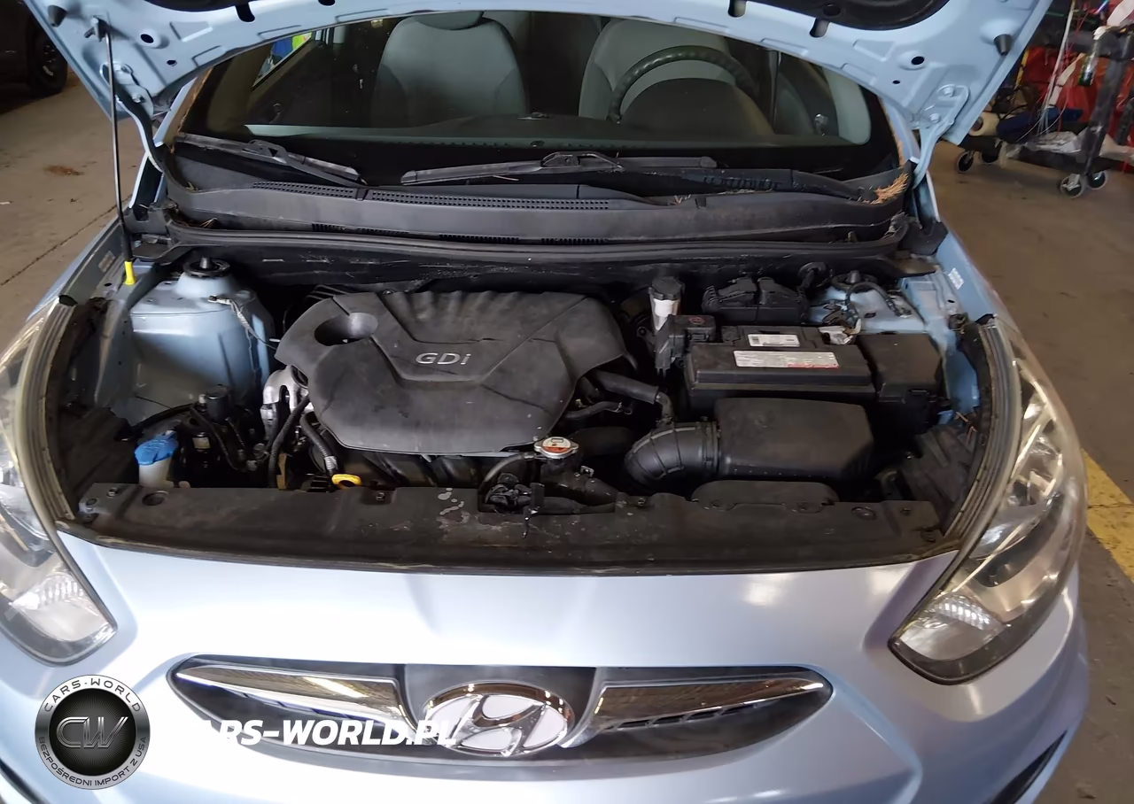 2014 Hyundai Accent Gs VIN:KMHCT5AE9EU149823 - 10