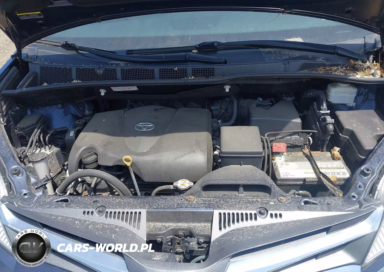 2020 Toyota Sienna Xle VIN:5TDYZ3DC1LS045304 - 10