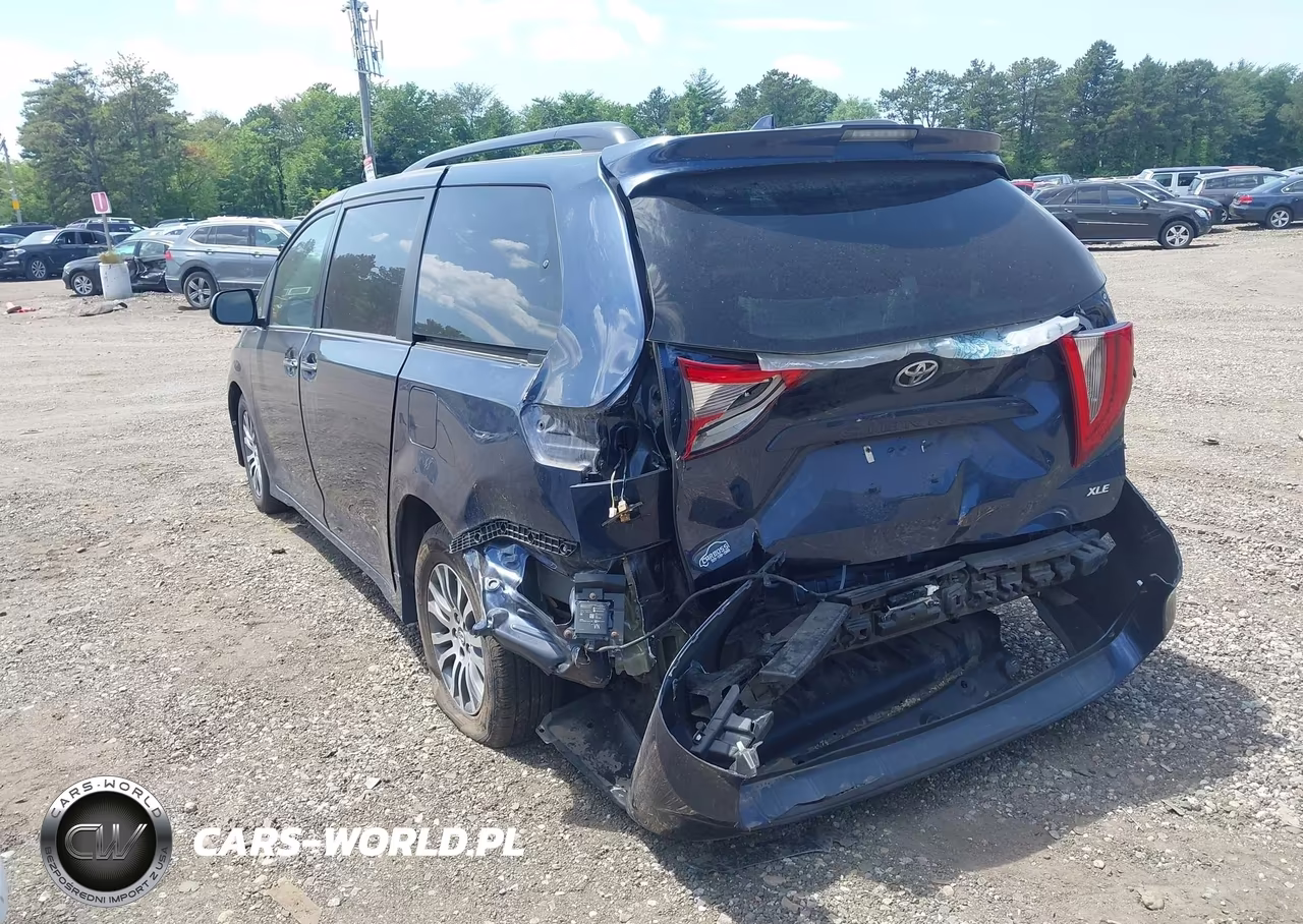 2020 Toyota Sienna Xle VIN:5TDYZ3DC1LS045304 - 3