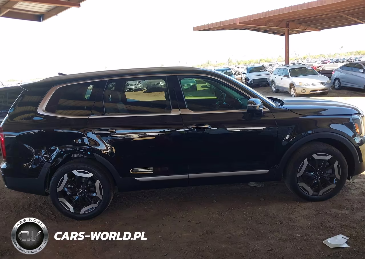 2025 Kia Telluride S VIN:5XYP64GC5SG734943 - 13