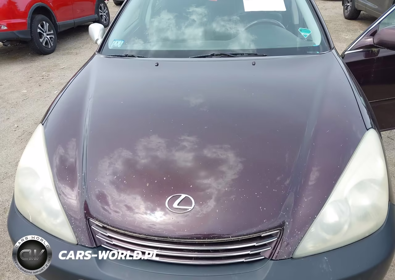 2003 Lexus Es 300 VIN:JTHBF30G436018622 - 13