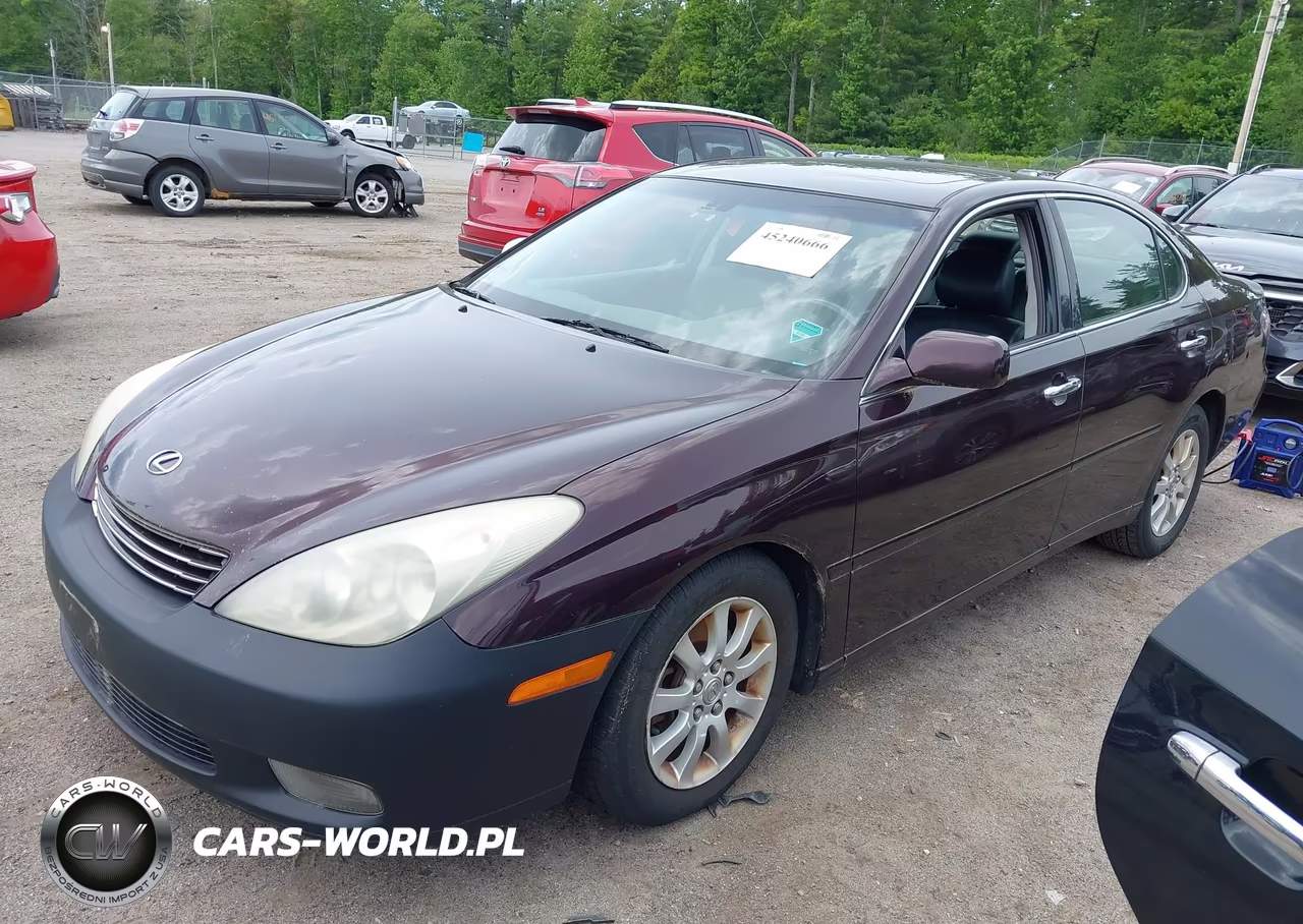 2003 Lexus Es 300 VIN:JTHBF30G436018622 - 2
