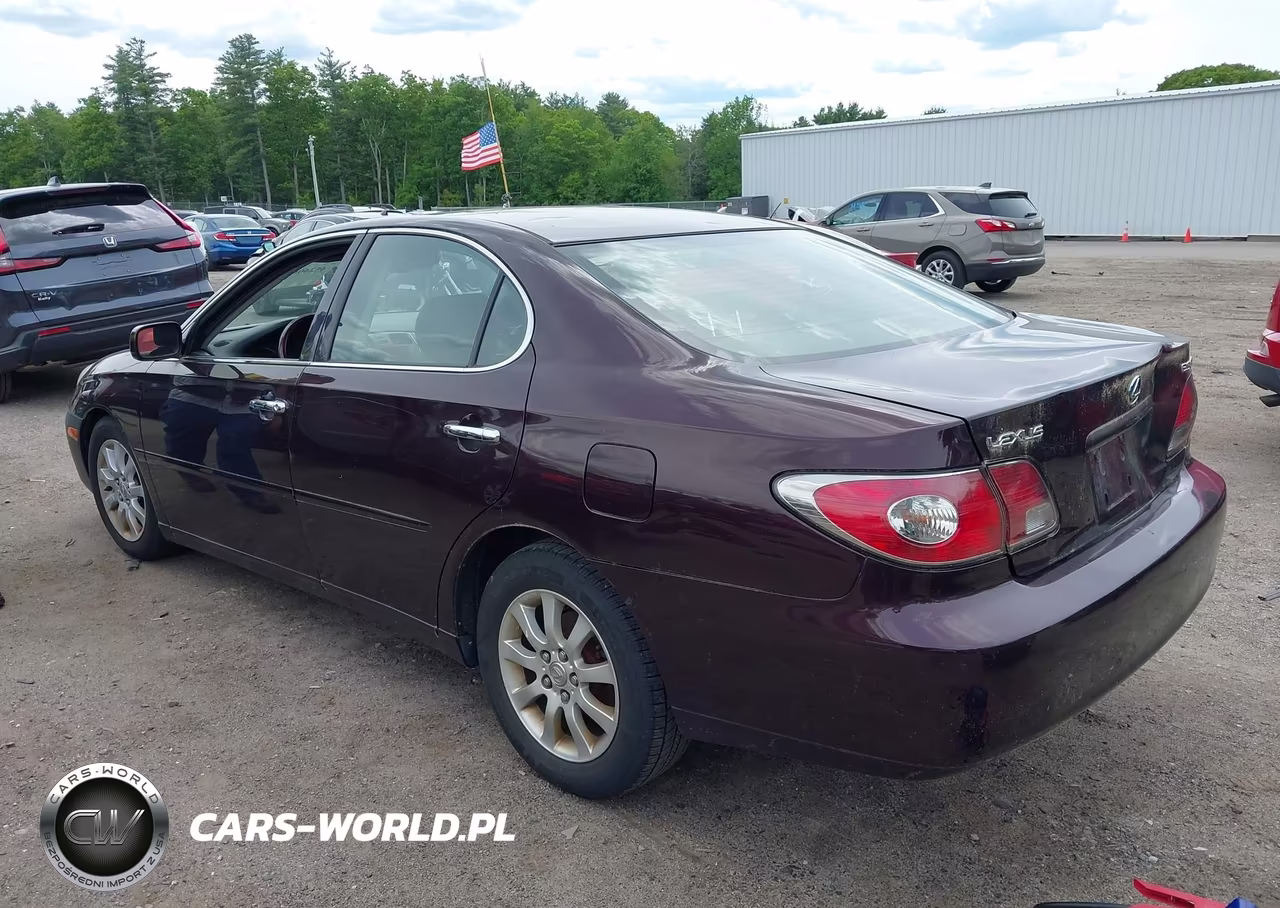 2003 Lexus Es 300 VIN:JTHBF30G436018622 - 3