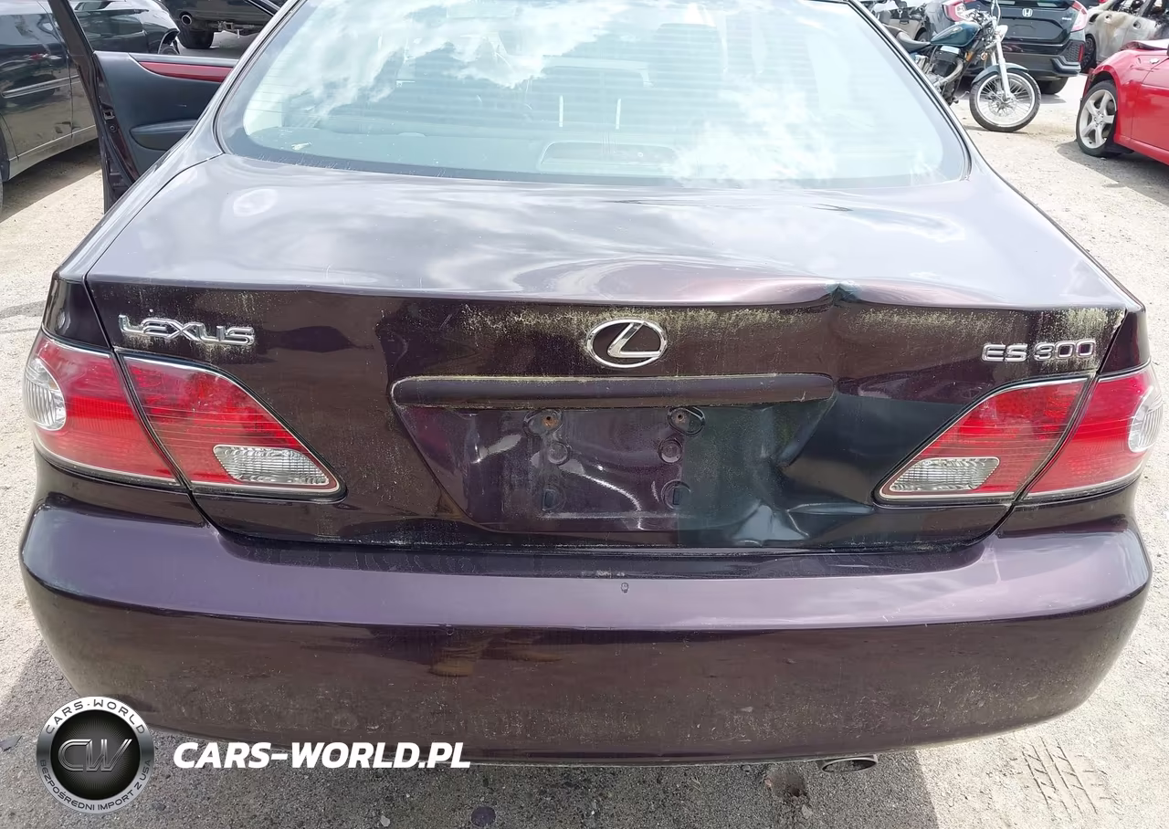 2003 Lexus Es 300 VIN:JTHBF30G436018622 - 6