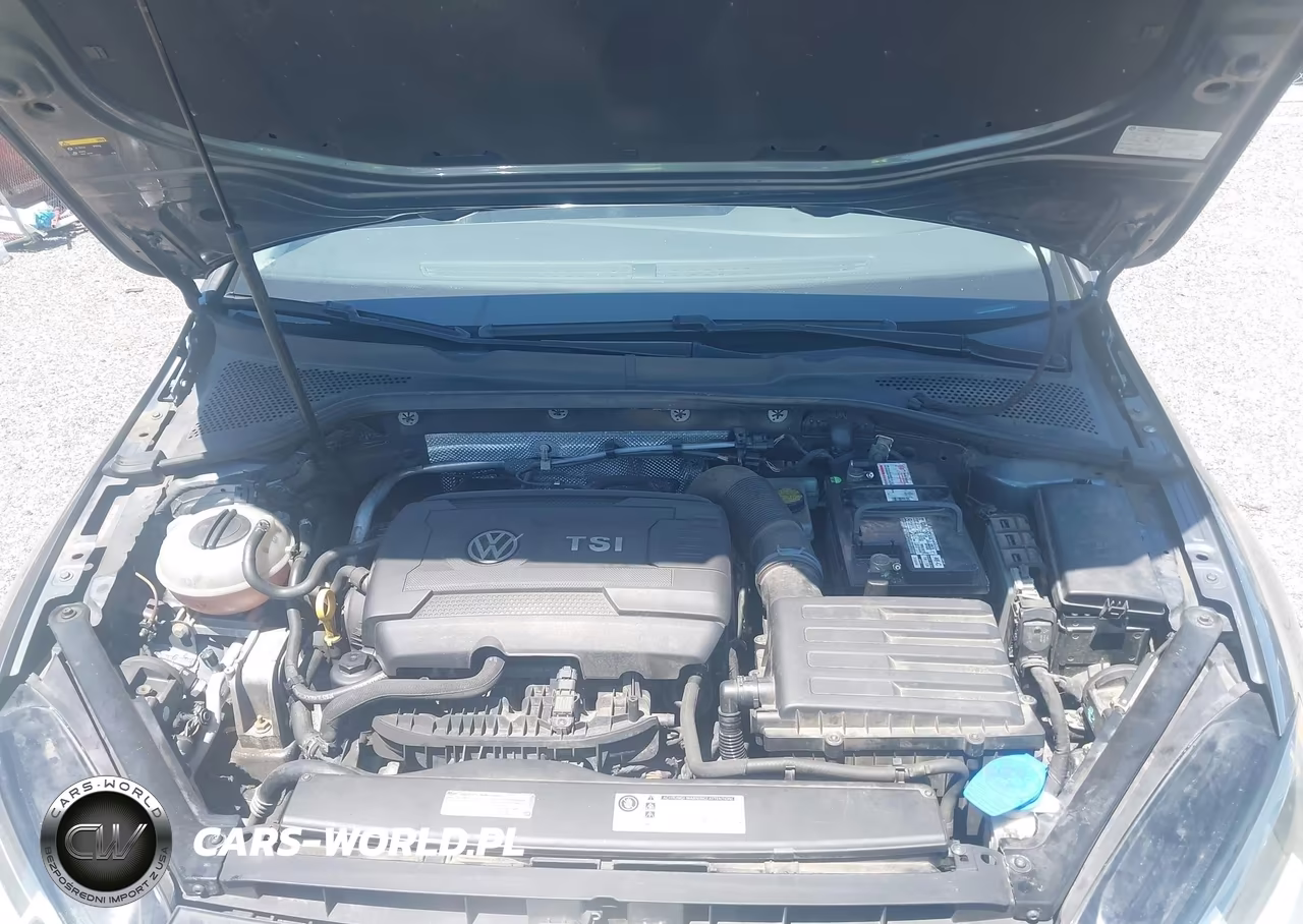 2015 Volkswagen Golf Sportwagen Tsi S 4-Door VIN:3VWC17AUXFM501324 - 10