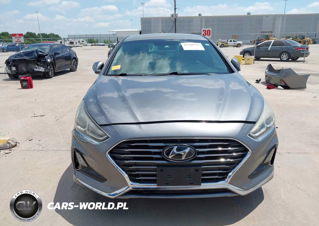 2018 Hyundai Sonata Eco VIN:5NPE24AA8JH670740 - 13