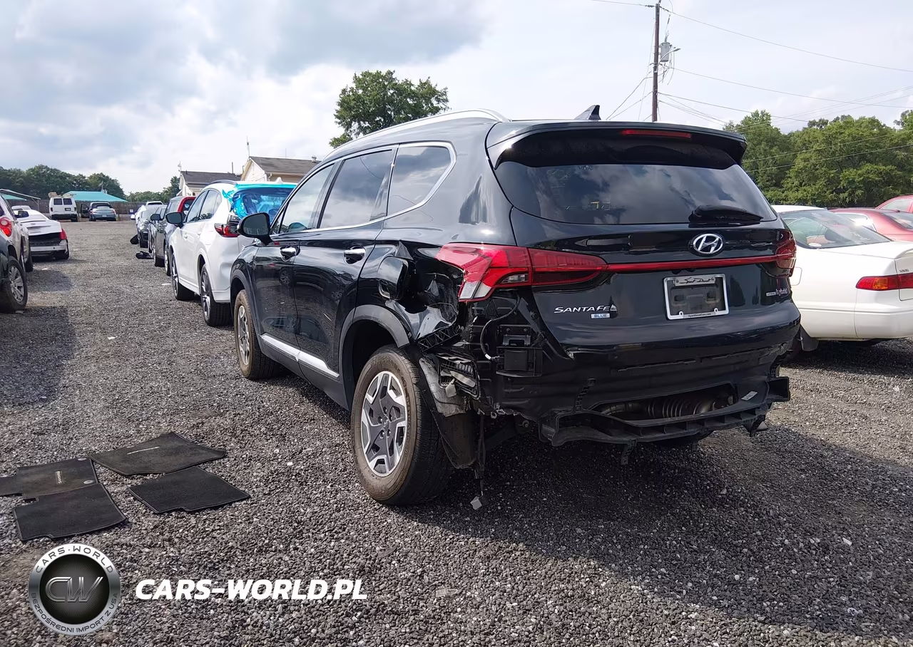 2023 Hyundai Santa Fe Hybrid Blue VIN:5NMS2DA13PH008654 - 3