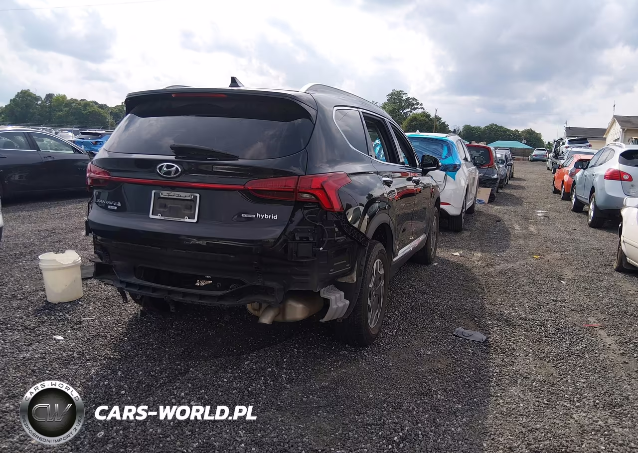 2023 Hyundai Santa Fe Hybrid Blue VIN:5NMS2DA13PH008654 - 4