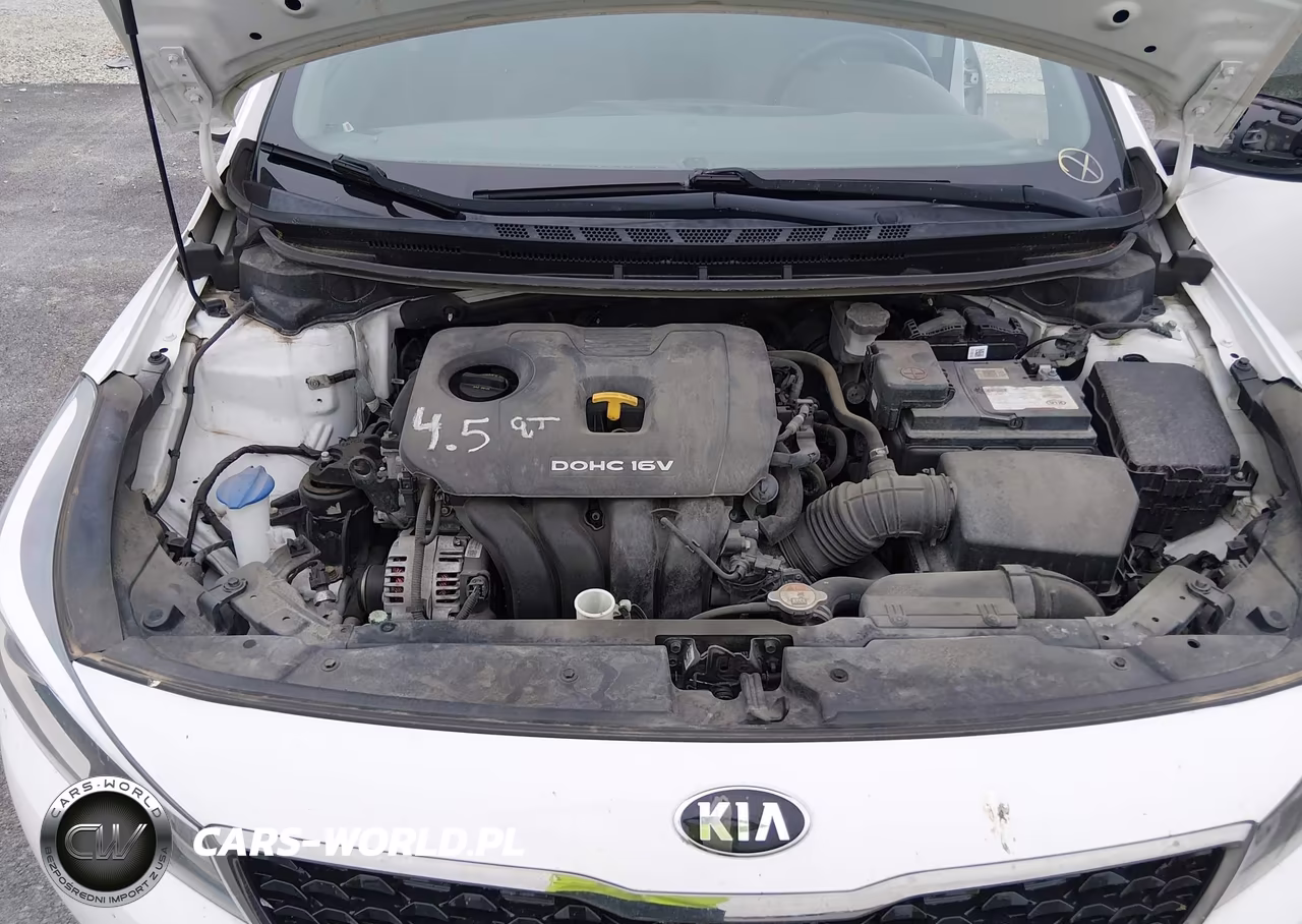 2017 Kia Forte Lx VIN:3KPFK4A7XHE097279 - 10