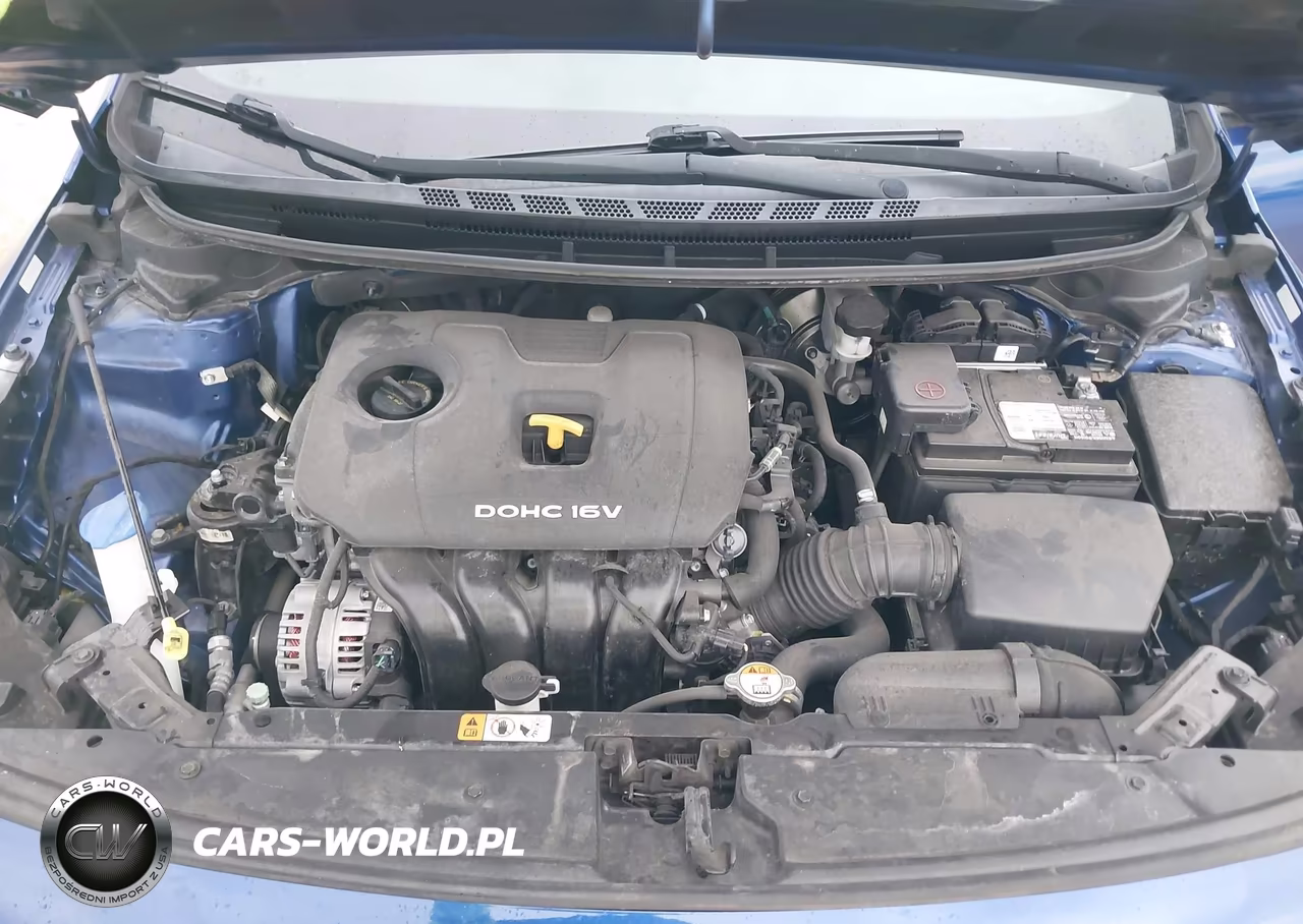 2017 Kia Forte Lx VIN:3KPFL4A78HE078100 - 10