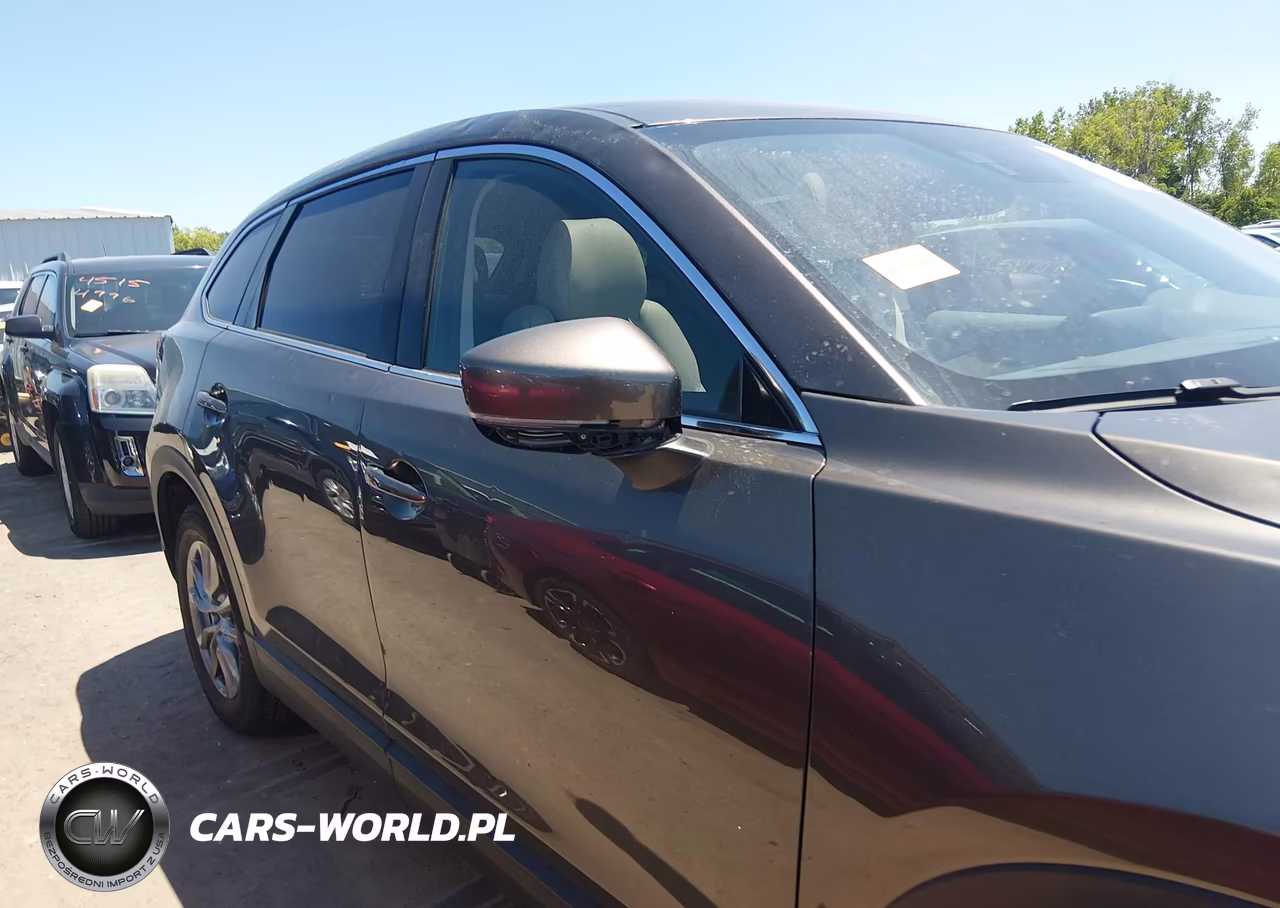 2016 Mazda Cx-9 Touring VIN:JM3TCBCY6G0101160 - 13