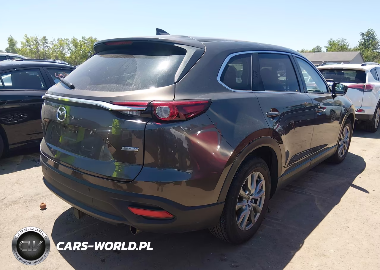 2016 Mazda Cx-9 Touring VIN:JM3TCBCY6G0101160 - 4