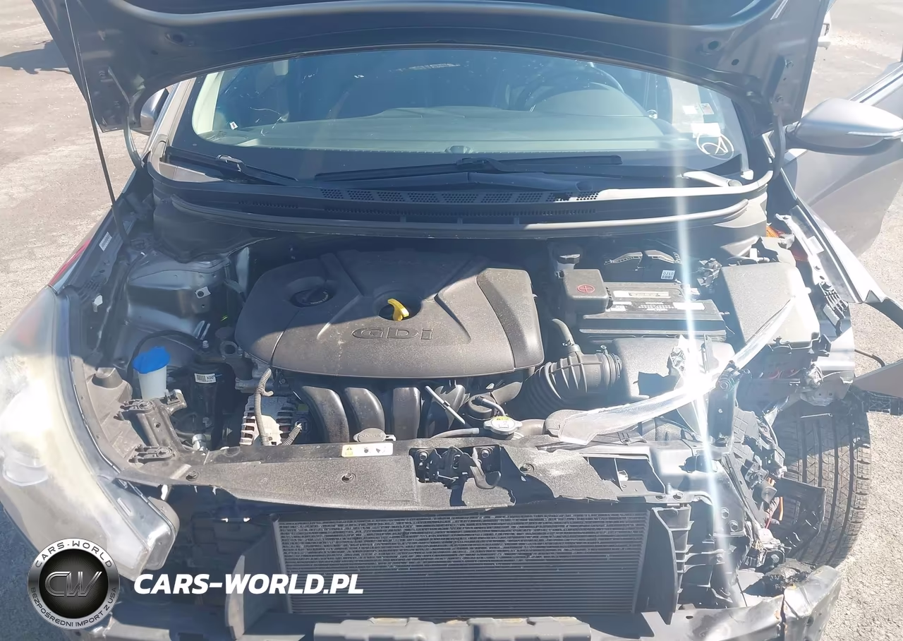 2015 Kia Forte Ex VIN:KNAFZ4A82F5336057 - 10
