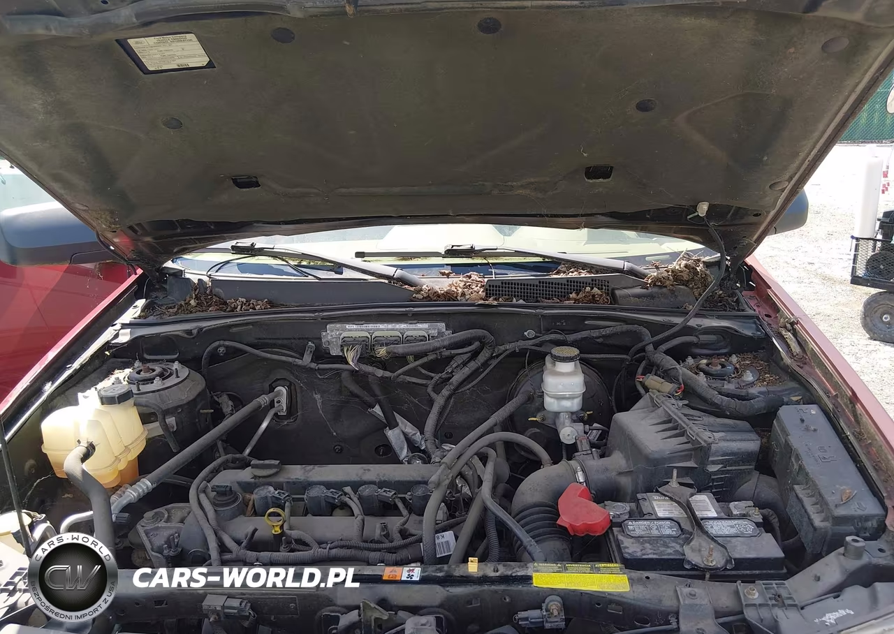 2011 Ford Escape Xlt VIN:1FMCU0D78BKA38989 - 10
