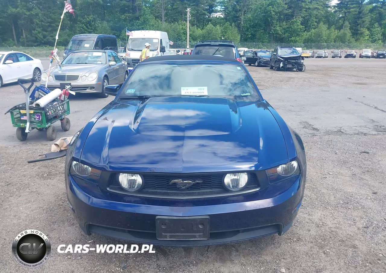 2011 Ford Mustang Gt Premium VIN:1ZVBP8FF8B5113924 - 13
