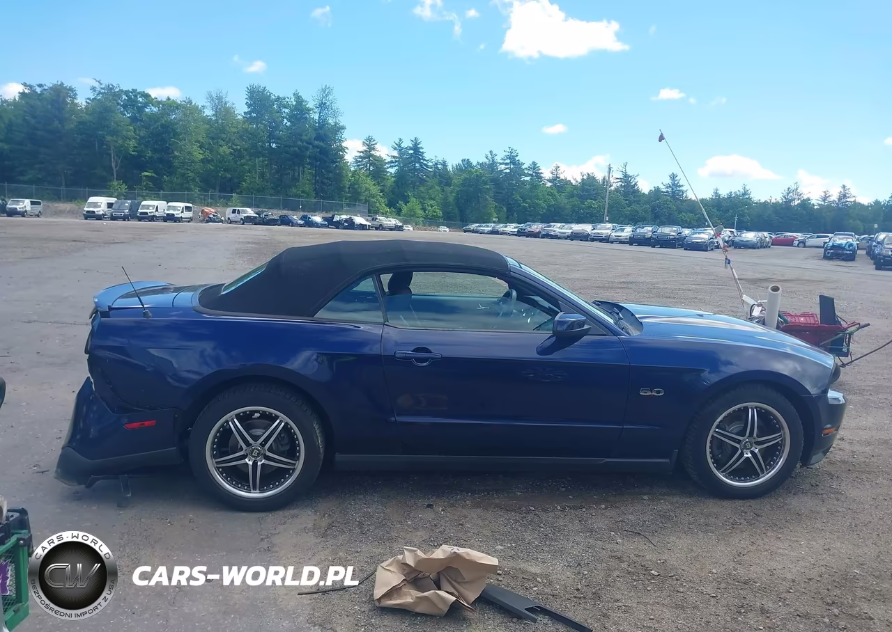 2011 Ford Mustang Gt Premium VIN:1ZVBP8FF8B5113924 - 14