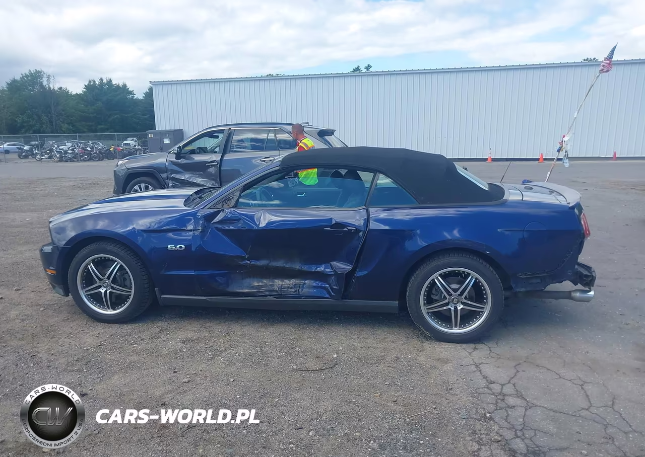 2011 Ford Mustang Gt Premium VIN:1ZVBP8FF8B5113924 - 15