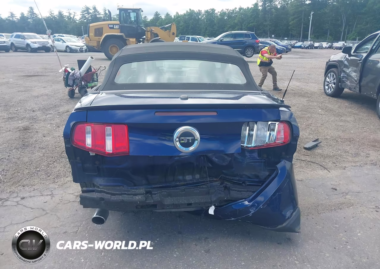 2011 Ford Mustang Gt Premium VIN:1ZVBP8FF8B5113924 - 17