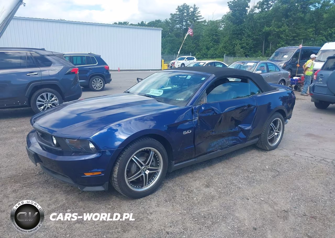 2011 Ford Mustang Gt Premium VIN:1ZVBP8FF8B5113924 - 2