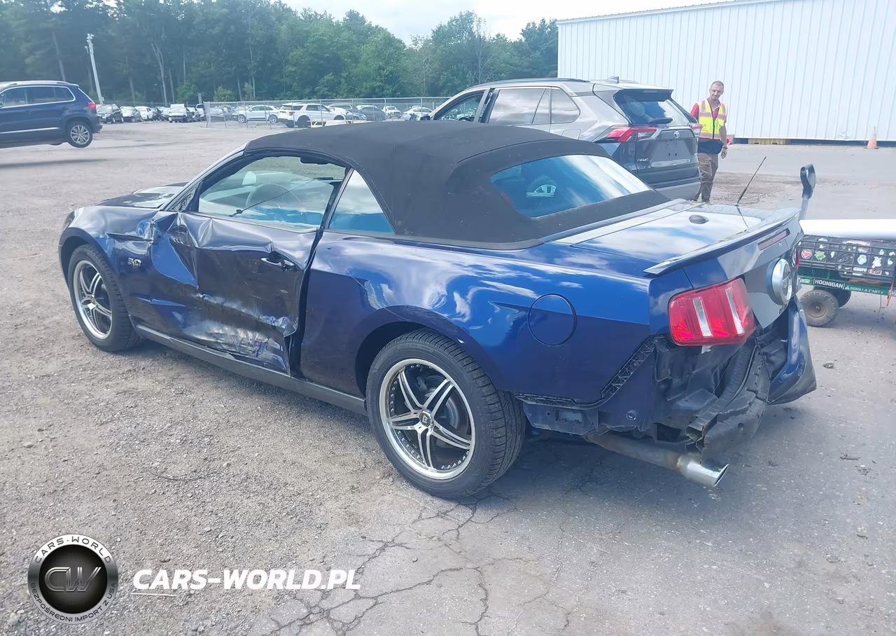 2011 Ford Mustang Gt Premium VIN:1ZVBP8FF8B5113924 - 3