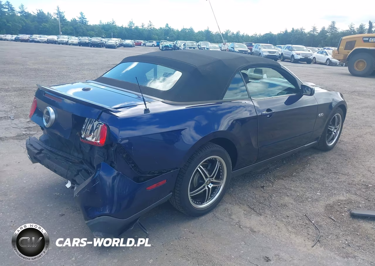 2011 Ford Mustang Gt Premium VIN:1ZVBP8FF8B5113924 - 4