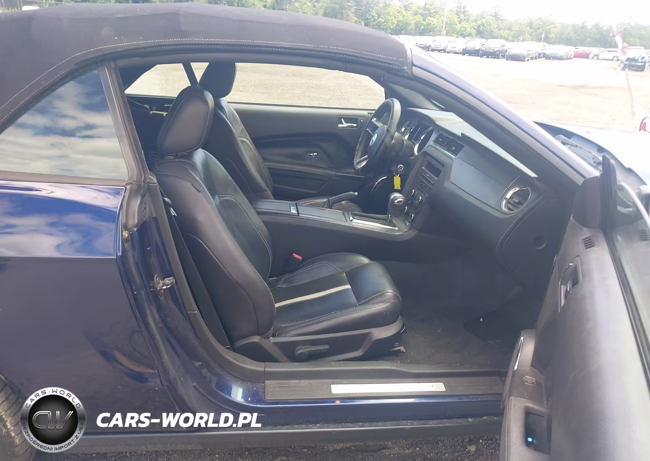 2011 Ford Mustang Gt Premium VIN:1ZVBP8FF8B5113924 - 5