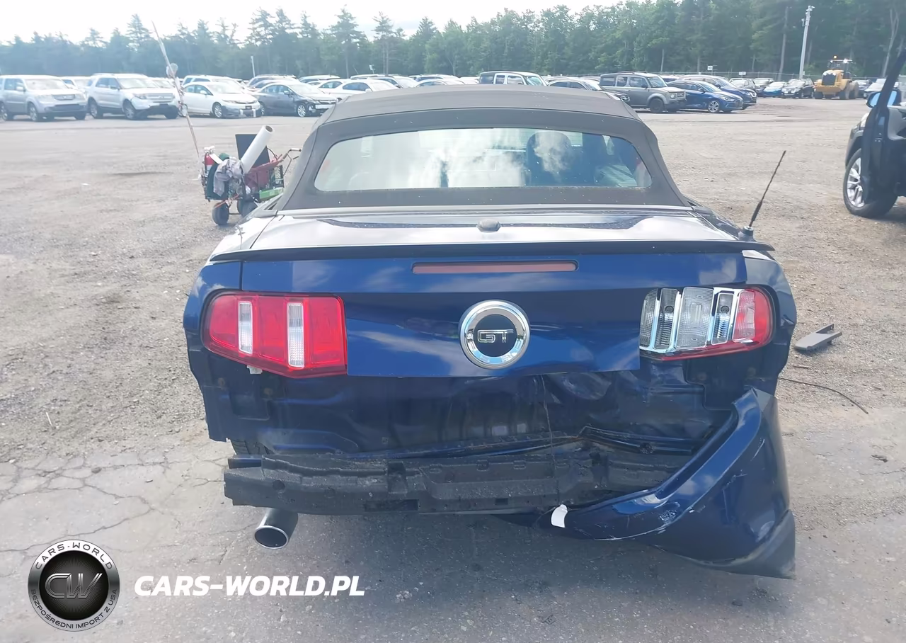 2011 Ford Mustang Gt Premium VIN:1ZVBP8FF8B5113924 - 6