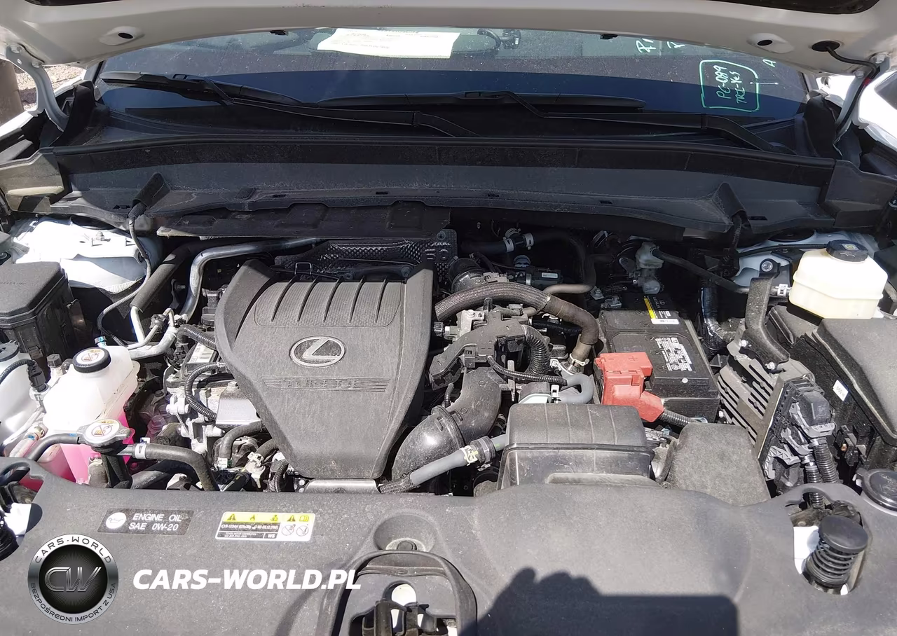 2024 Lexus Tx 350 Luxury VIN:5TDAAAB66RS003908 - 10