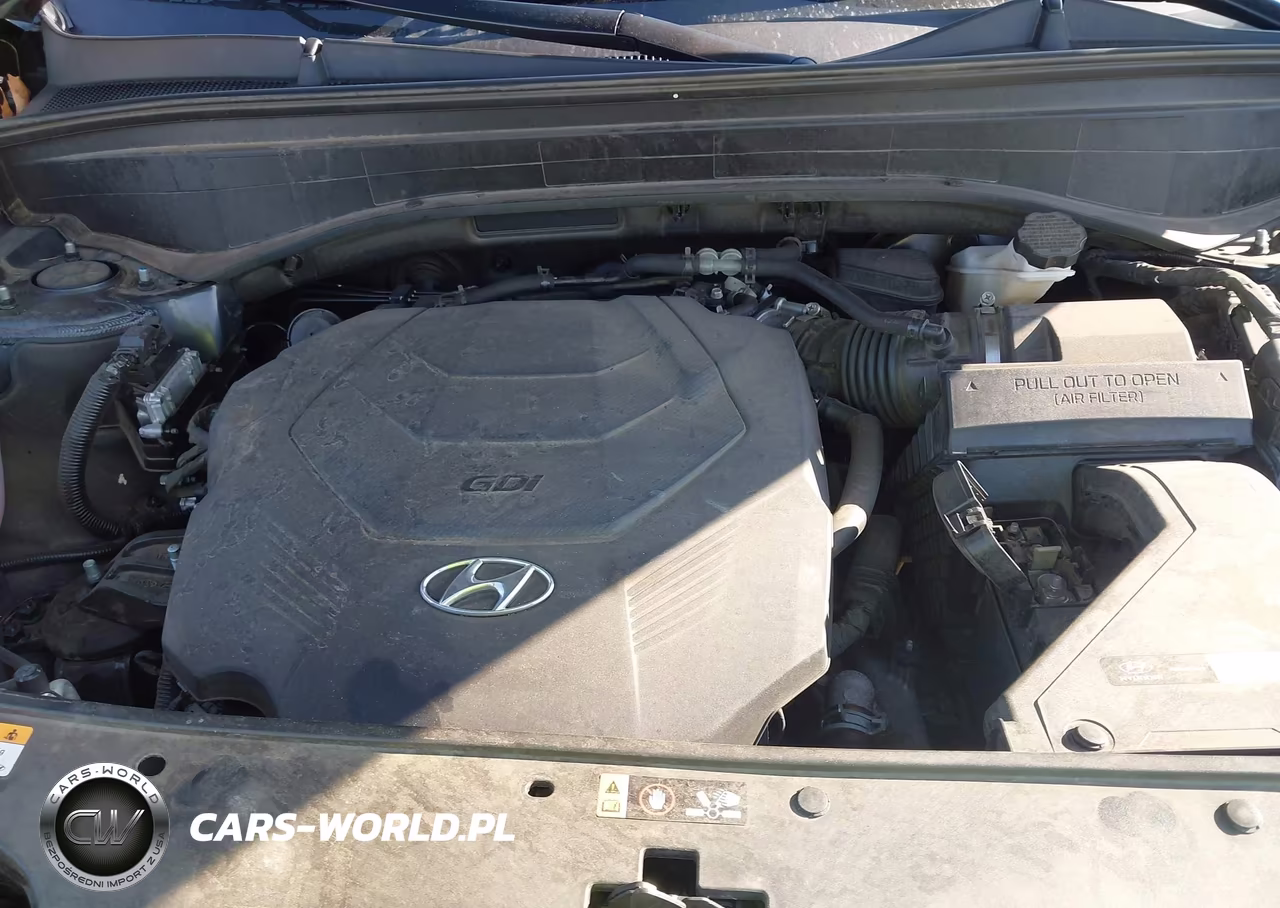 2022 Hyundai Palisade Calligraphy VIN:KM8R7DHE5NU356207 - 10
