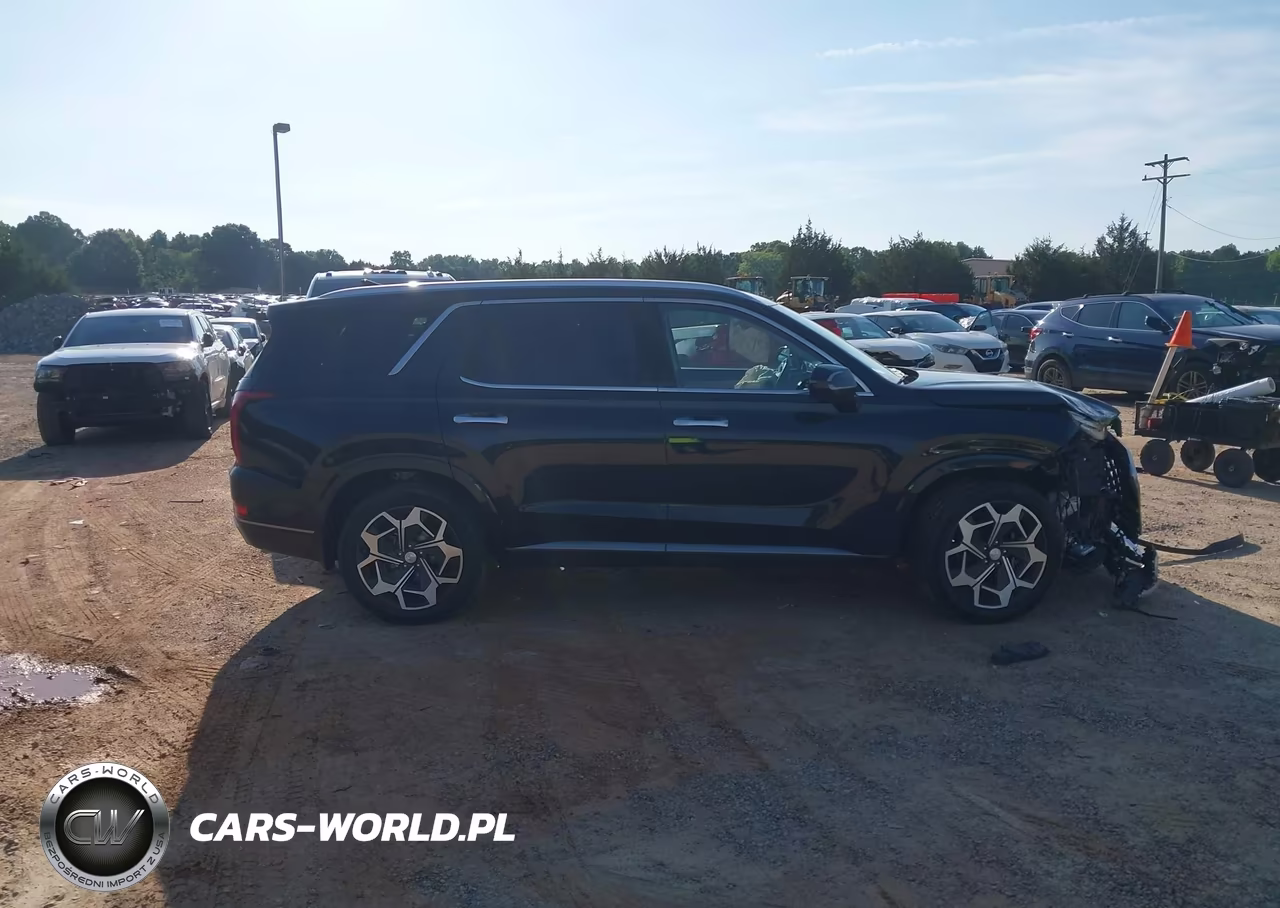 2022 Hyundai Palisade Calligraphy VIN:KM8R7DHE5NU356207 - 13