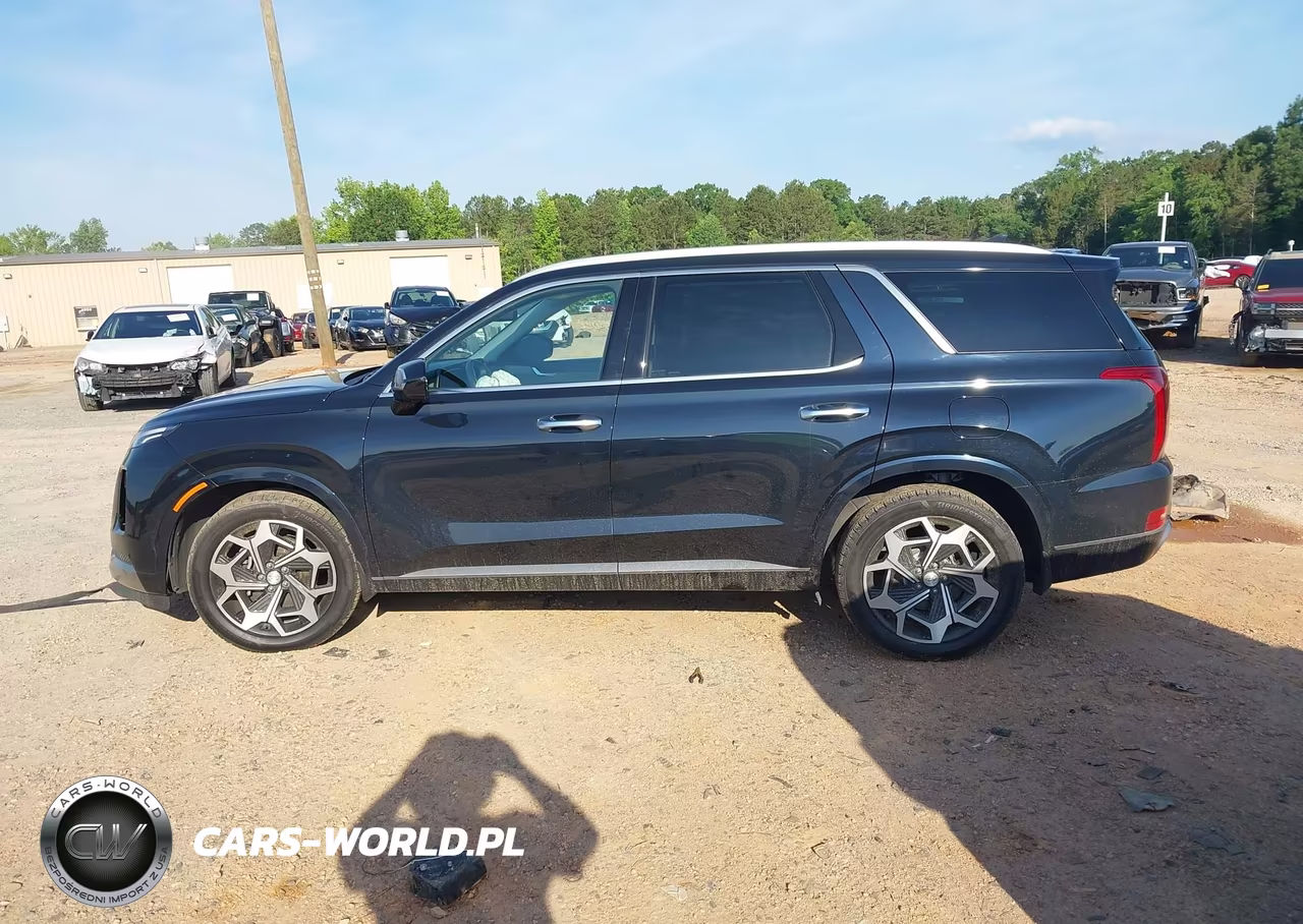2022 Hyundai Palisade Calligraphy VIN:KM8R7DHE5NU356207 - 14
