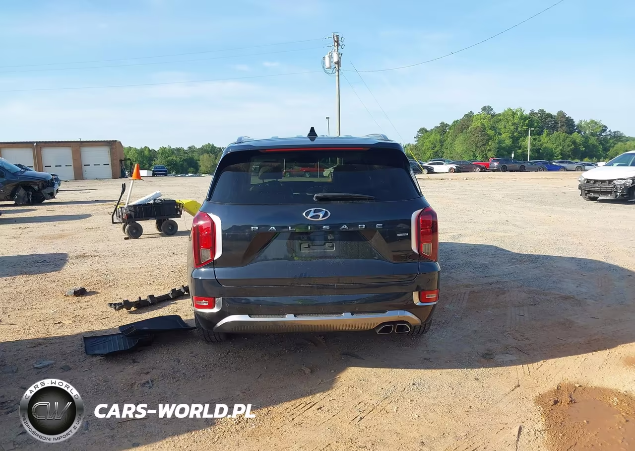 2022 Hyundai Palisade Calligraphy VIN:KM8R7DHE5NU356207 - 16