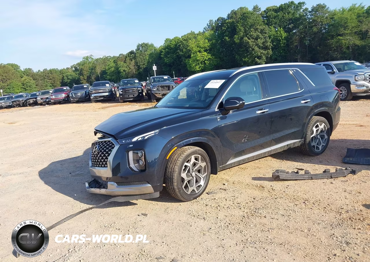 2022 Hyundai Palisade Calligraphy VIN:KM8R7DHE5NU356207 - 2