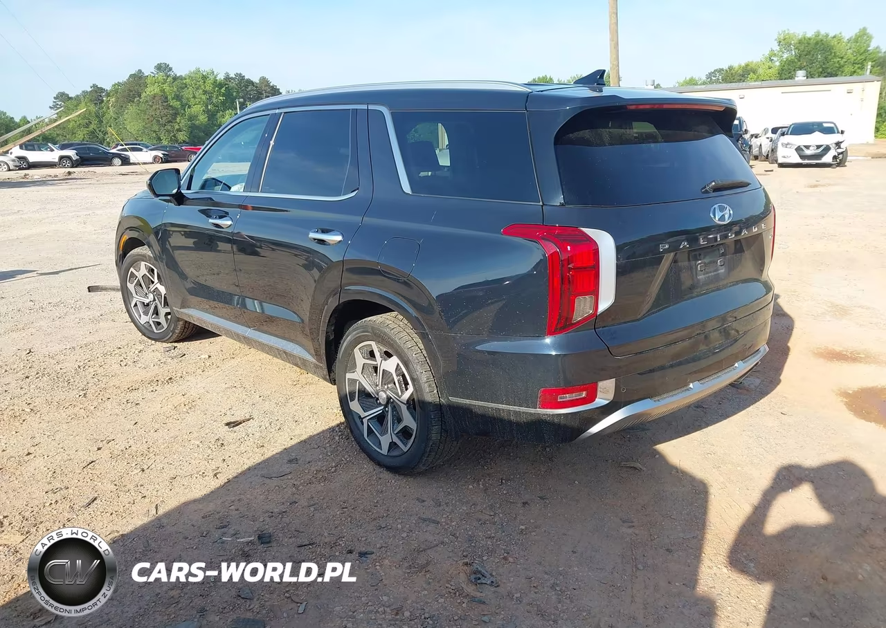 2022 Hyundai Palisade Calligraphy VIN:KM8R7DHE5NU356207 - 3