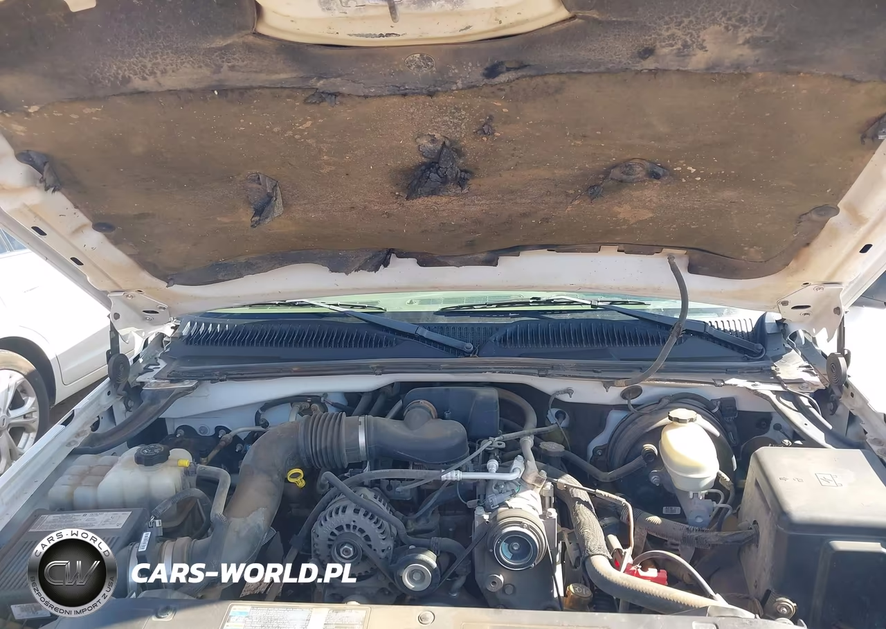2006 Chevrolet Silverado 1500 Work Truck VIN:1GCEC19X06Z251995 - 10