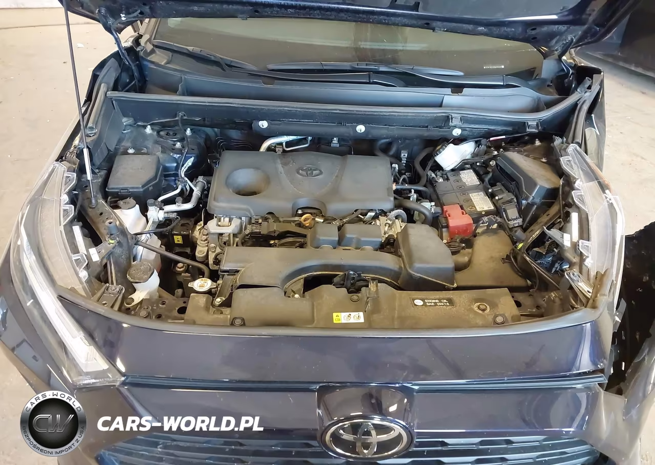 2024 Toyota Rav4 Xle VIN:2T3P1RFV0RW460688 - 10
