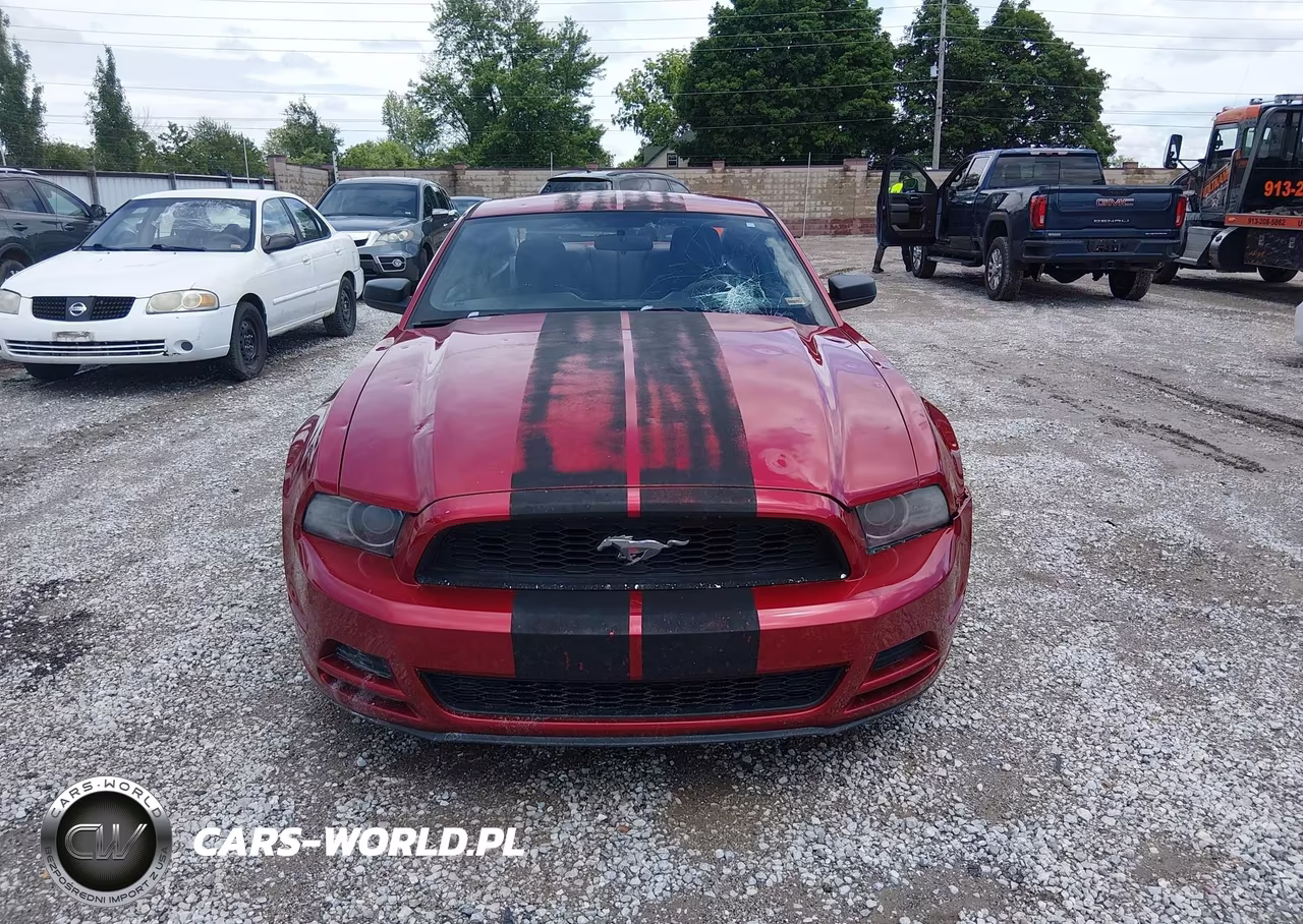 2013 Ford Mustang V6 VIN:1ZVBP8AM8D5233215 - 12