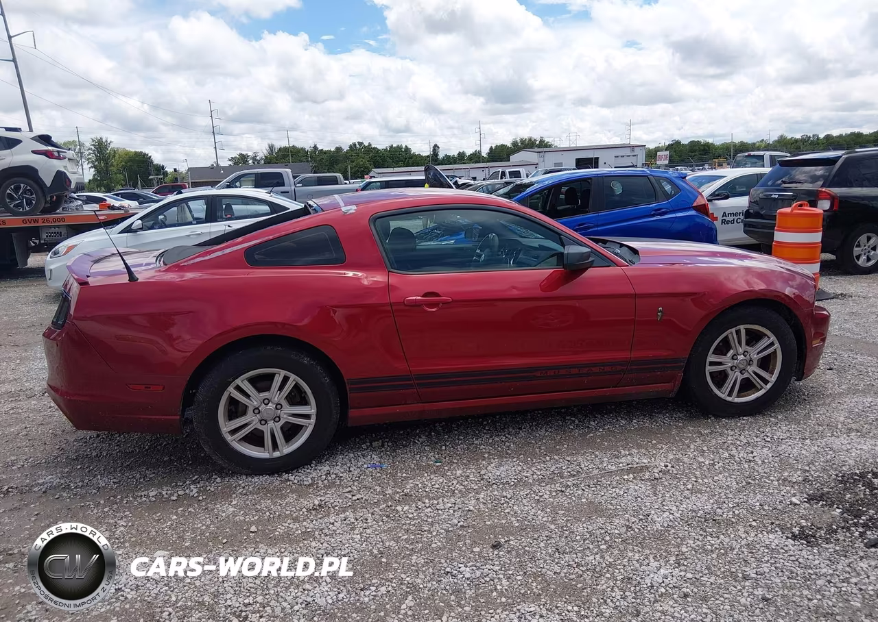 2013 Ford Mustang V6 VIN:1ZVBP8AM8D5233215 - 13