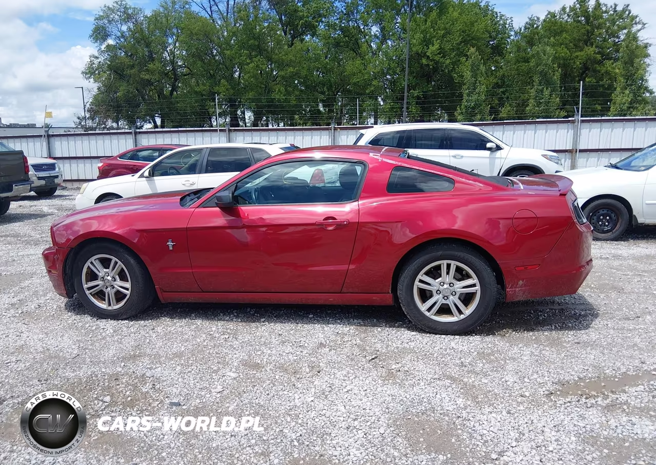 2013 Ford Mustang V6 VIN:1ZVBP8AM8D5233215 - 14