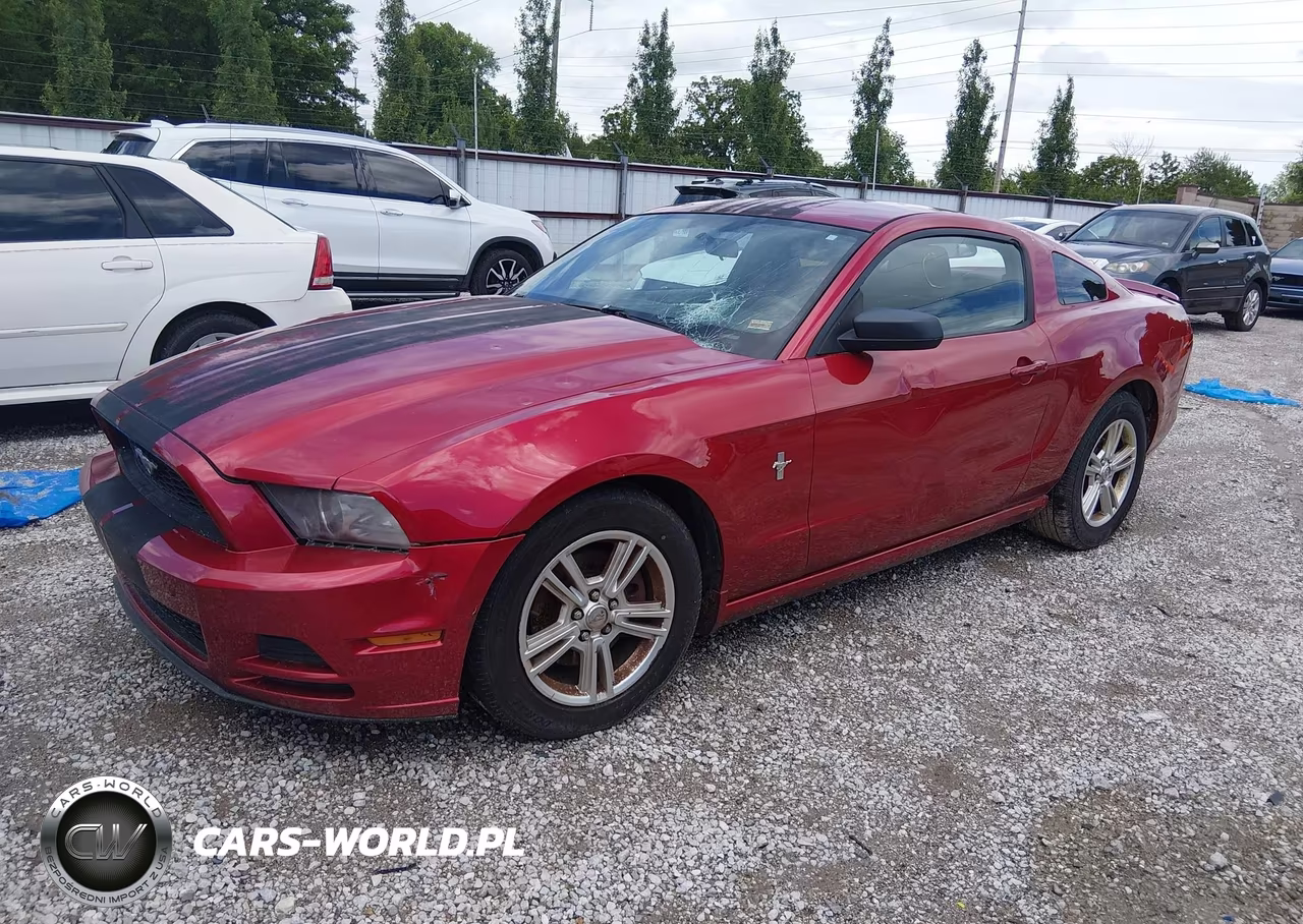 2013 Ford Mustang V6 VIN:1ZVBP8AM8D5233215 - 2
