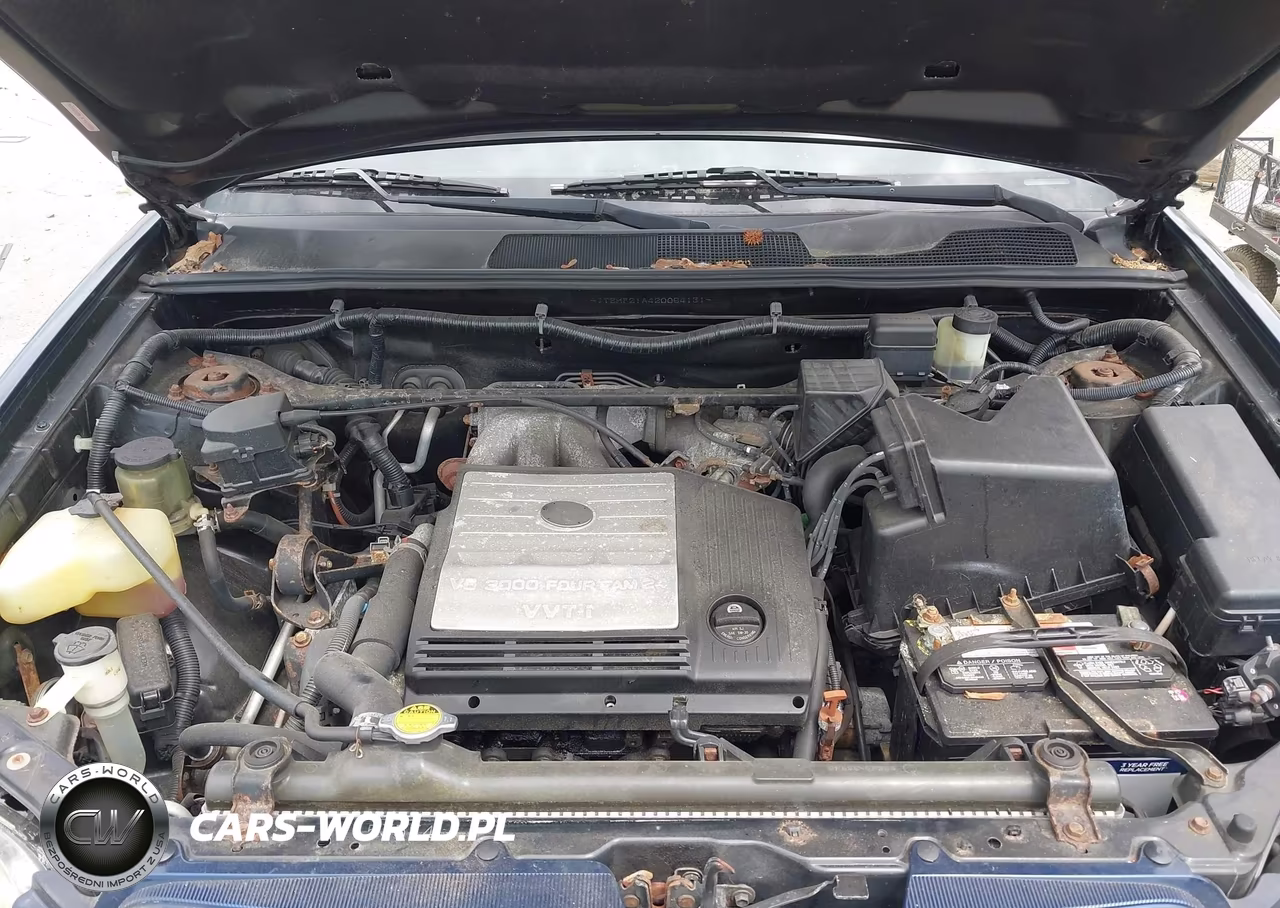 2002 Toyota Highlander Limited V6 VIN:JTEHF21A420054131 - 10
