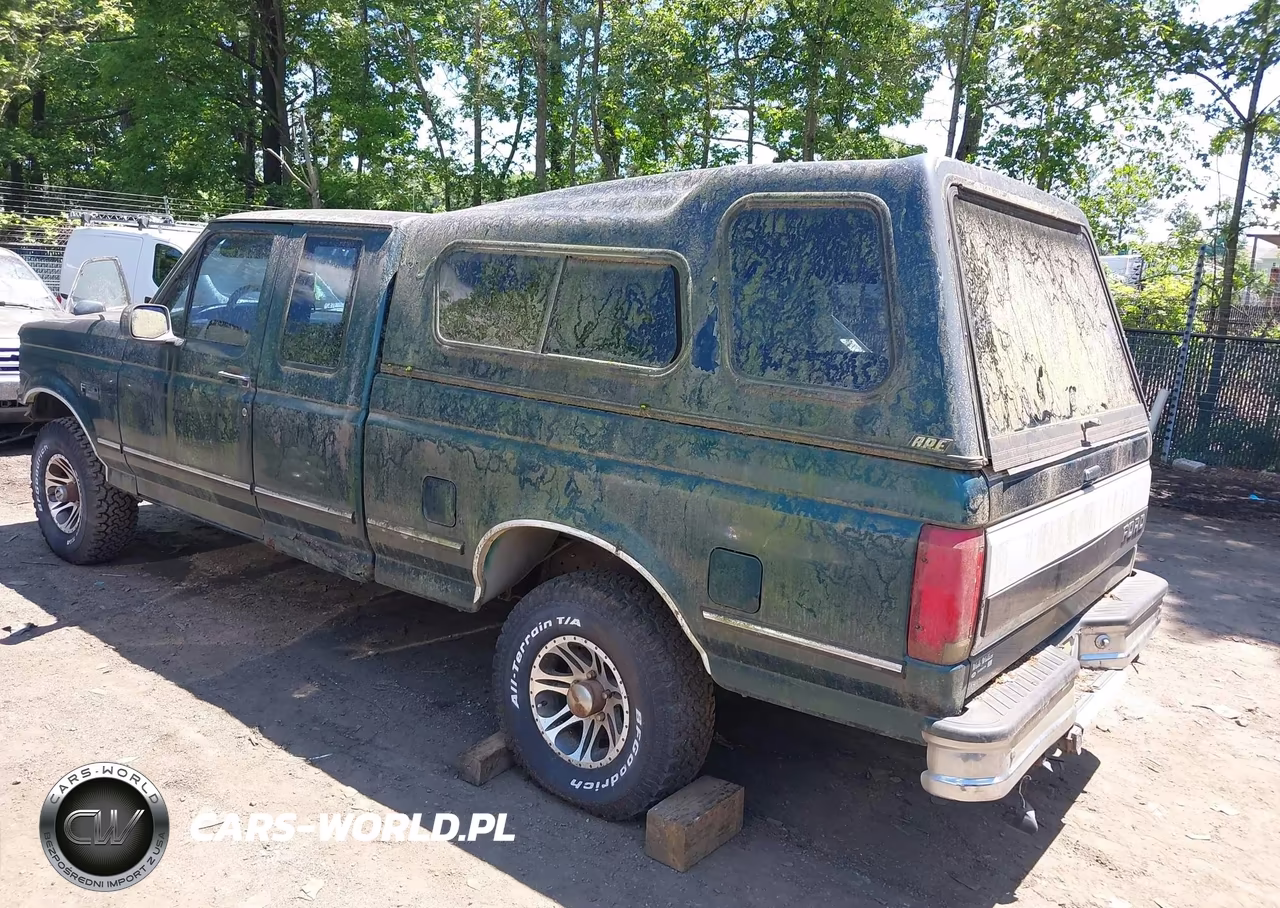 1993 Ford F150 VIN:1FTEX14N1PKB57919 - 3